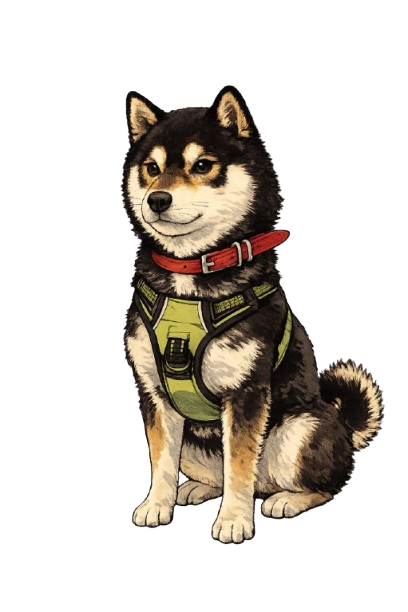 Ayumu the Black Shiba